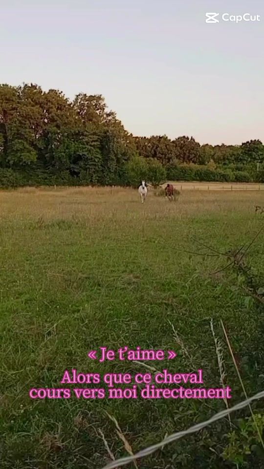 TikTok video thumbnail by juste_moi78_