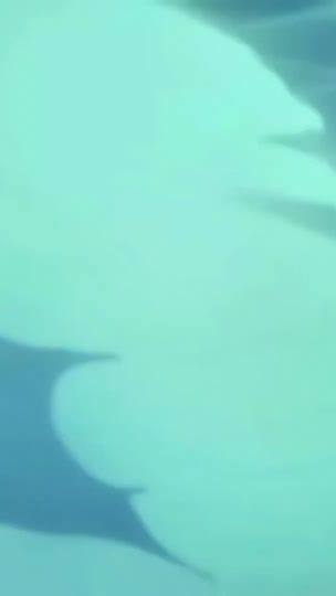 TikTok video thumbnail by mugiwara_.ya
