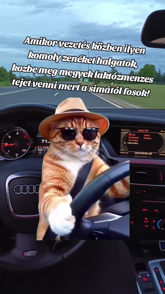 TikTok video thumbnail by pinterbalint2