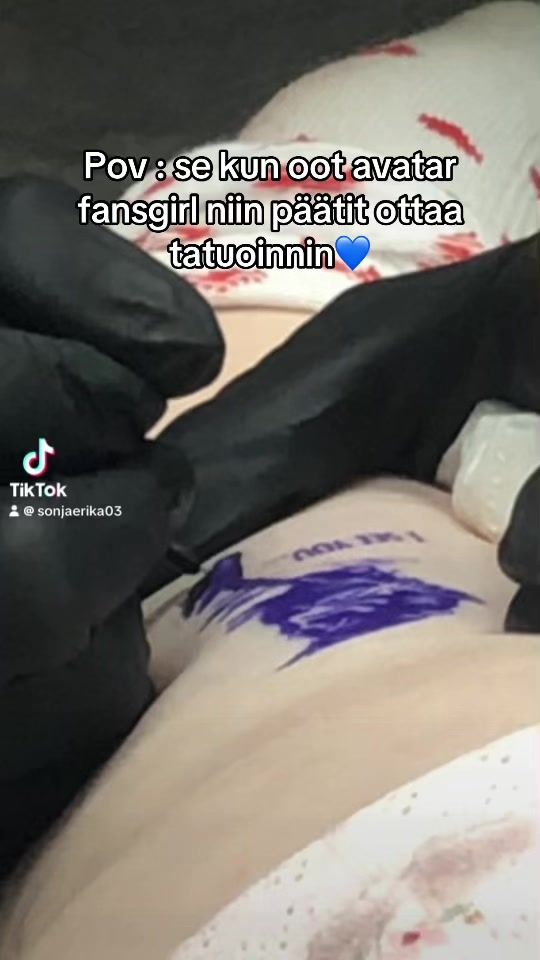 TikTok video thumbnail by sonjaerika03