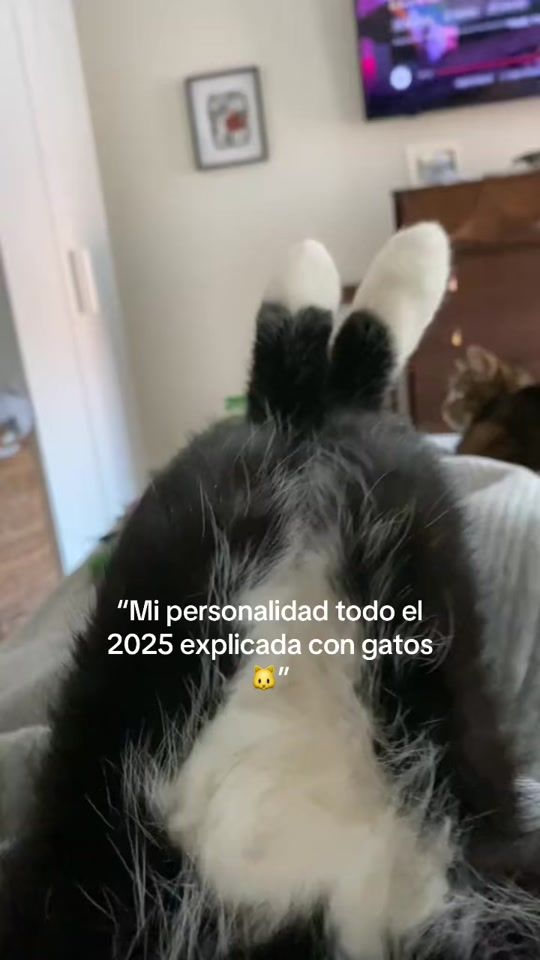 TikTok video thumbnail by mar.i.8