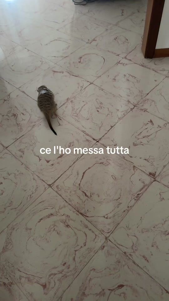 TikTok video thumbnail by agata17303