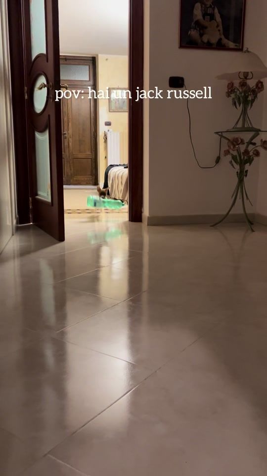 TikTok video thumbnail by giuseppebufano9