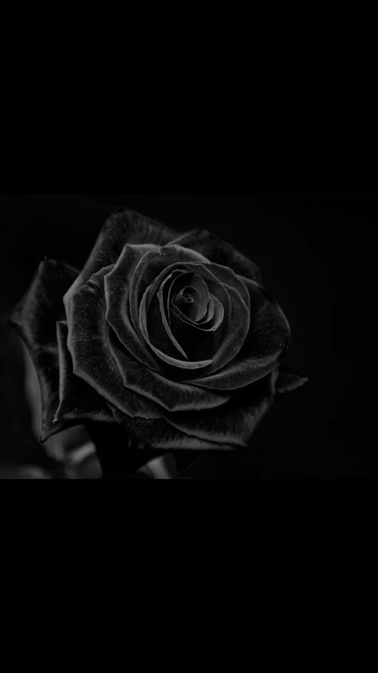 TikTok video thumbnail by gyvenimoliudesys43