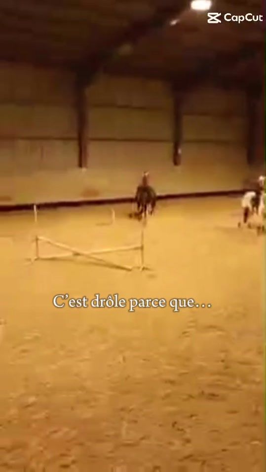 TikTok video thumbnail by framboisita1