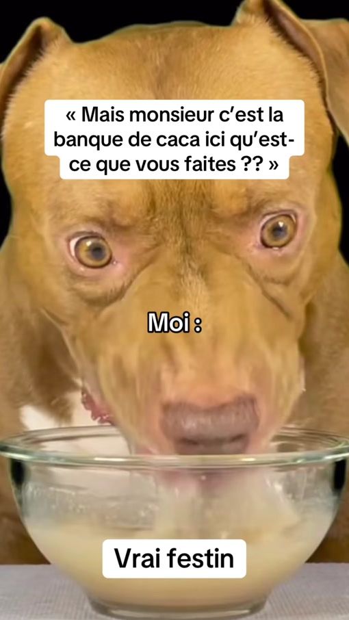 TikTok video thumbnail by bestmeme_ever