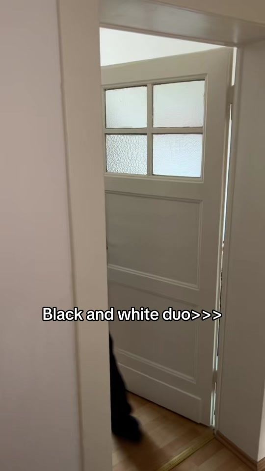 TikTok video thumbnail by nikita.diego