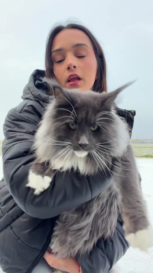 TikTok video thumbnail by diolindaa_
