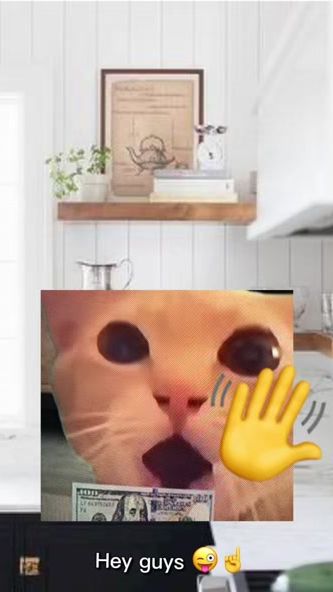 TikTok video thumbnail by catkitty398