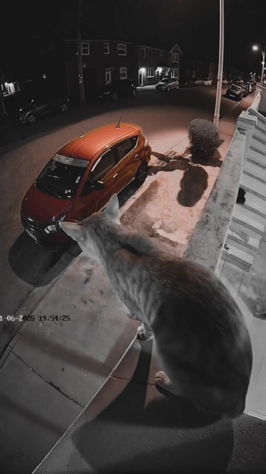 TikTok video thumbnail by ogsyde