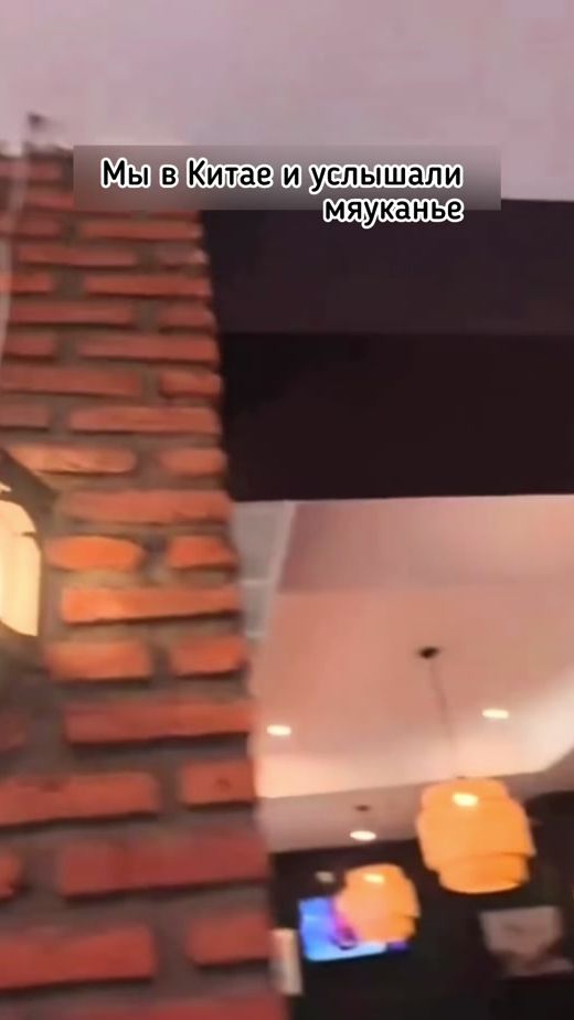 TikTok video thumbnail by belle___puma