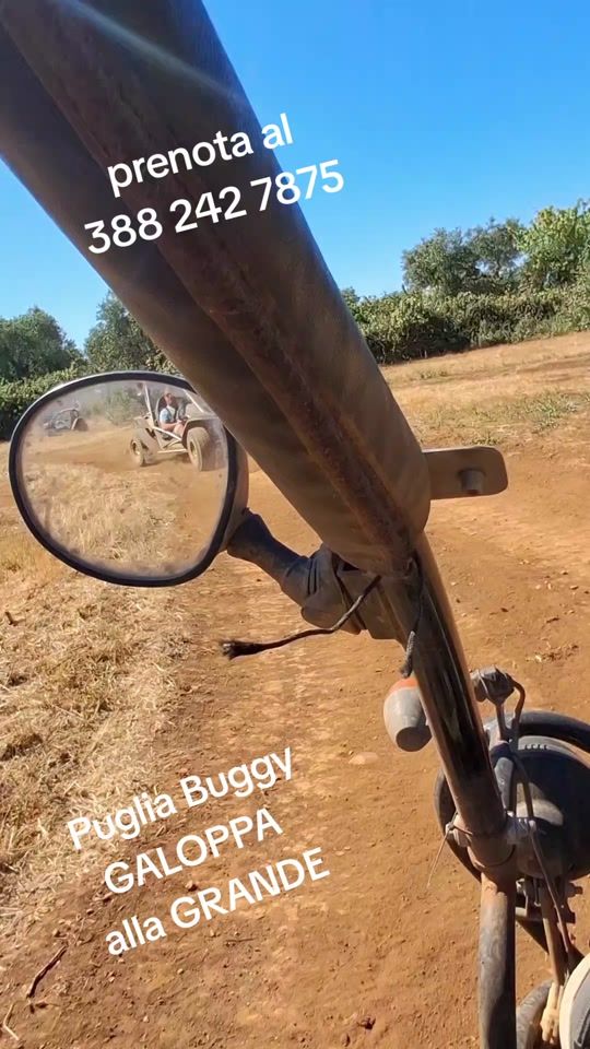 TikTok video thumbnail by puglia_buggy