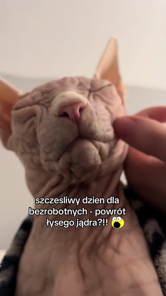 TikTok video thumbnail by get.lvst