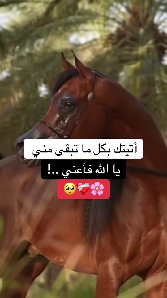 TikTok video thumbnail by nisrino444