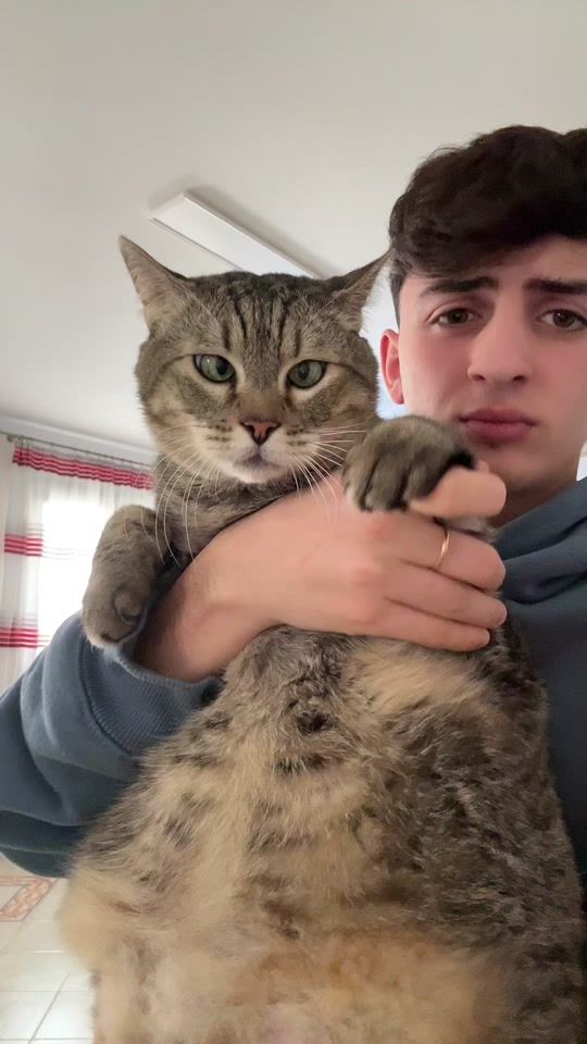 TikTok video thumbnail by _carlo.zedda_