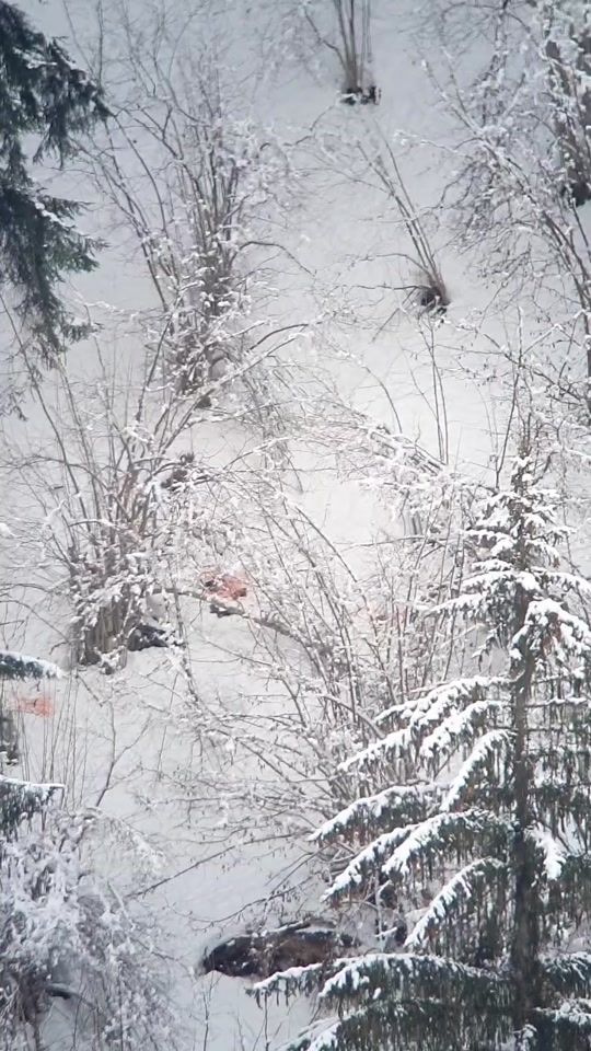TikTok video thumbnail by andreas.jon