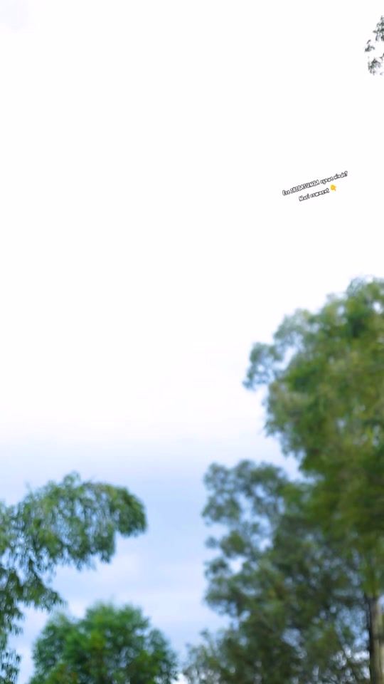 TikTok video thumbnail by elephantboy_