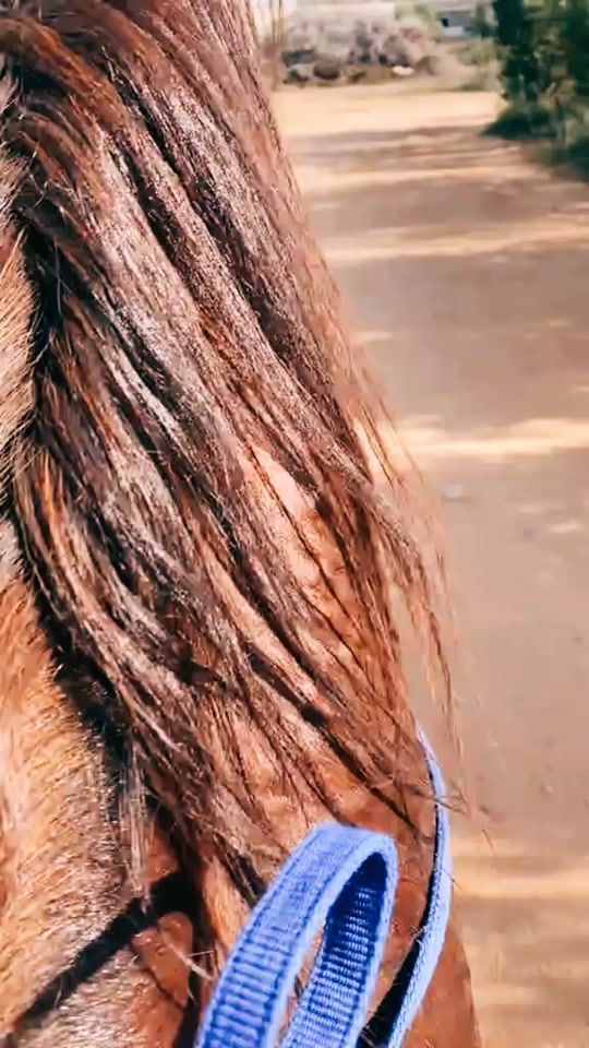 TikTok video thumbnail by elbech.tn1