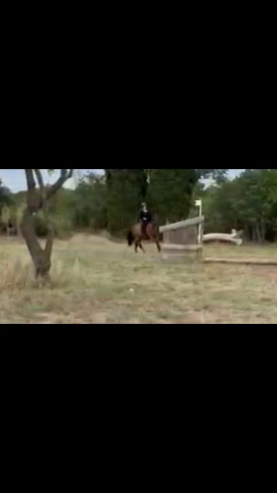 TikTok video thumbnail by ce.sauvecanne