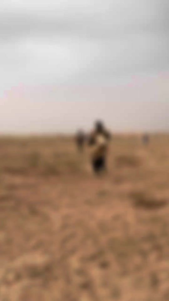 TikTok video thumbnail by cheikh_mu_saliou