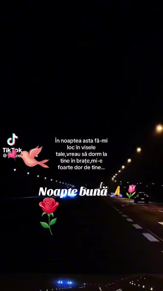 TikTok video thumbnail by nicusorradu23