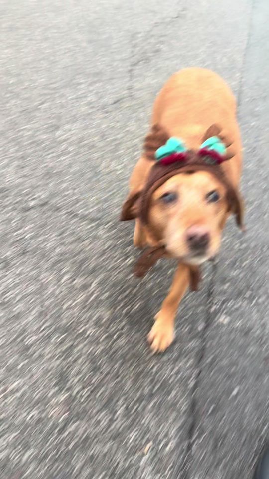 TikTok video thumbnail by schlabbracolli