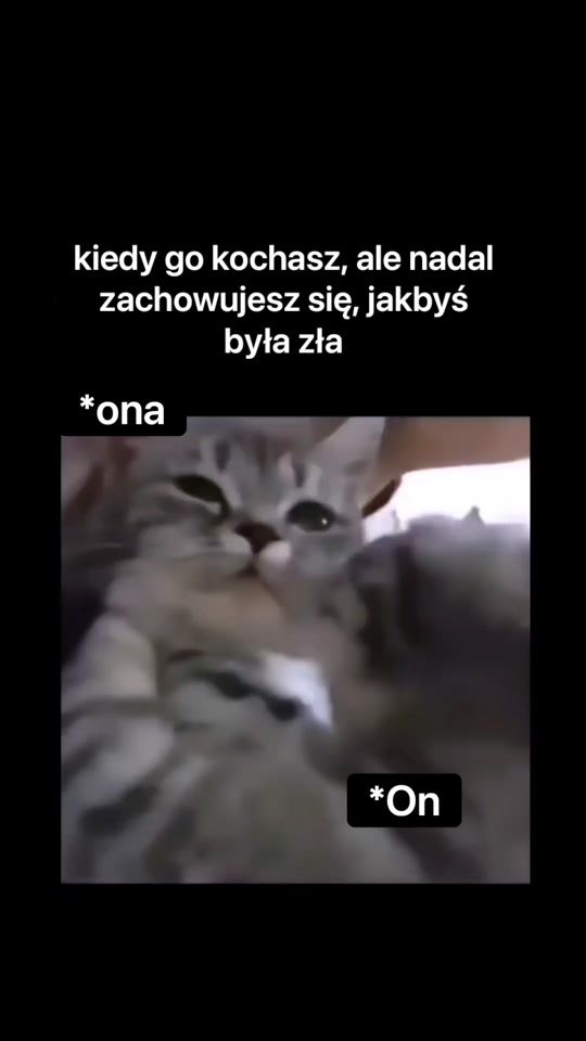 TikTok video thumbnail by mocny_antylopa