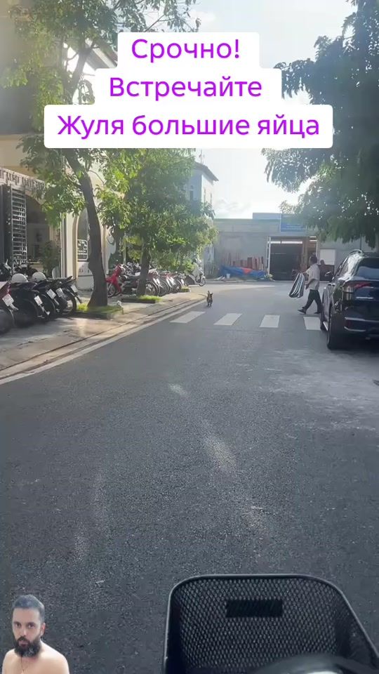 TikTok video thumbnail by gogatopa