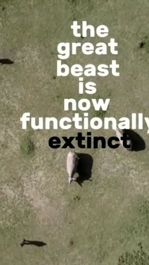 TikTok video thumbnail by olliehufton