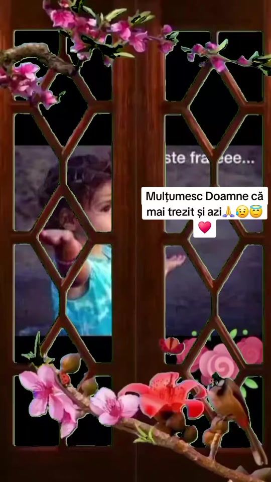 TikTok video thumbnail by siminamariana24