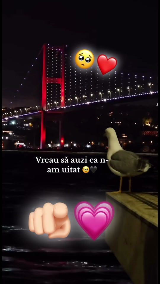 TikTok video thumbnail by promovariimuzicale1