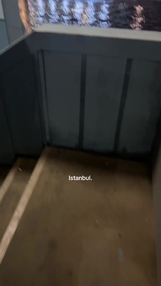 TikTok video thumbnail by wbucontent