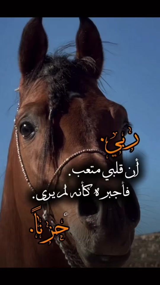 TikTok video thumbnail by o__alfaruq