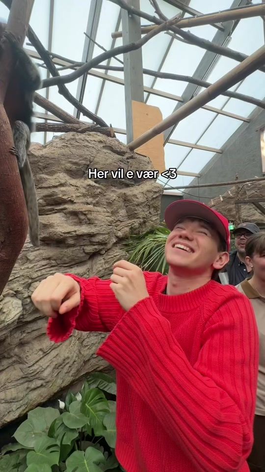 TikTok video thumbnail by marcusandmartinus