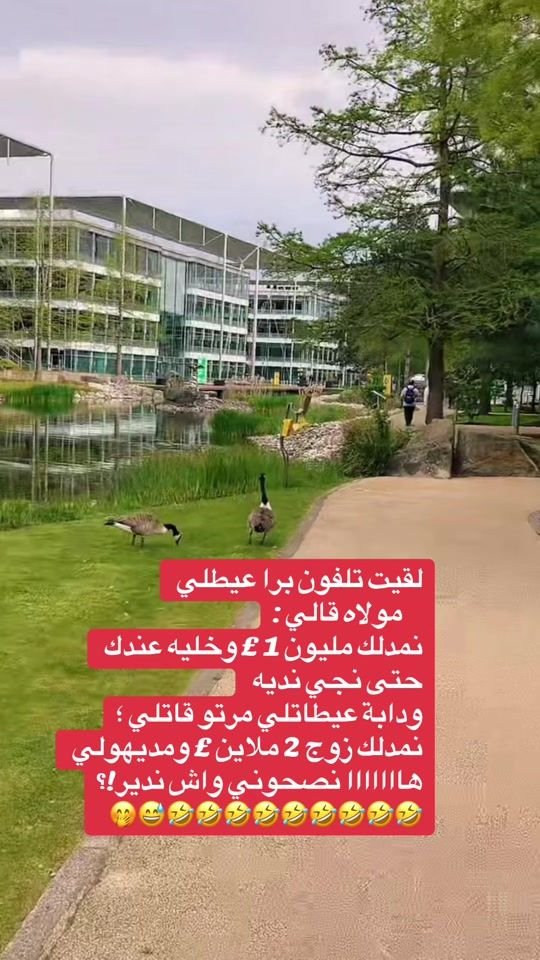 TikTok video thumbnail by la.drh