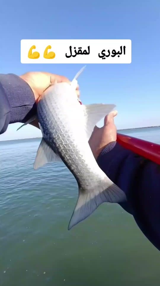 TikTok video thumbnail by fishingdz1