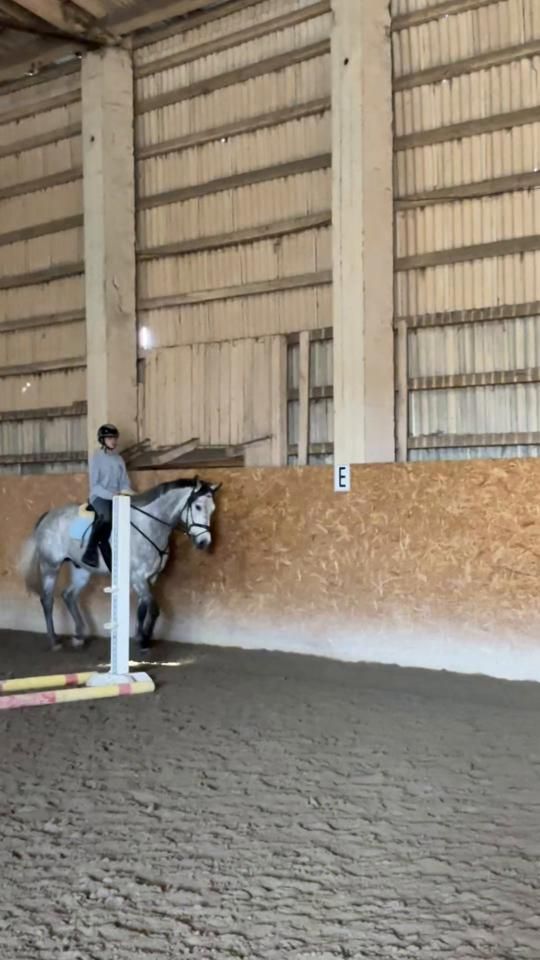 TikTok video thumbnail by parkerluvvs