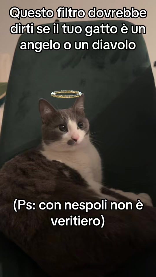 TikTok video thumbnail by lavitaconnespoli