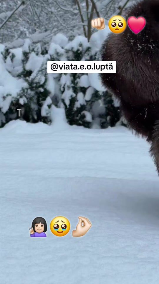 TikTok video thumbnail by viata.e.o.lupta