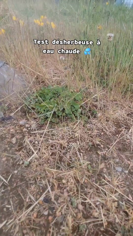TikTok video thumbnail by jardixka_espace_vert