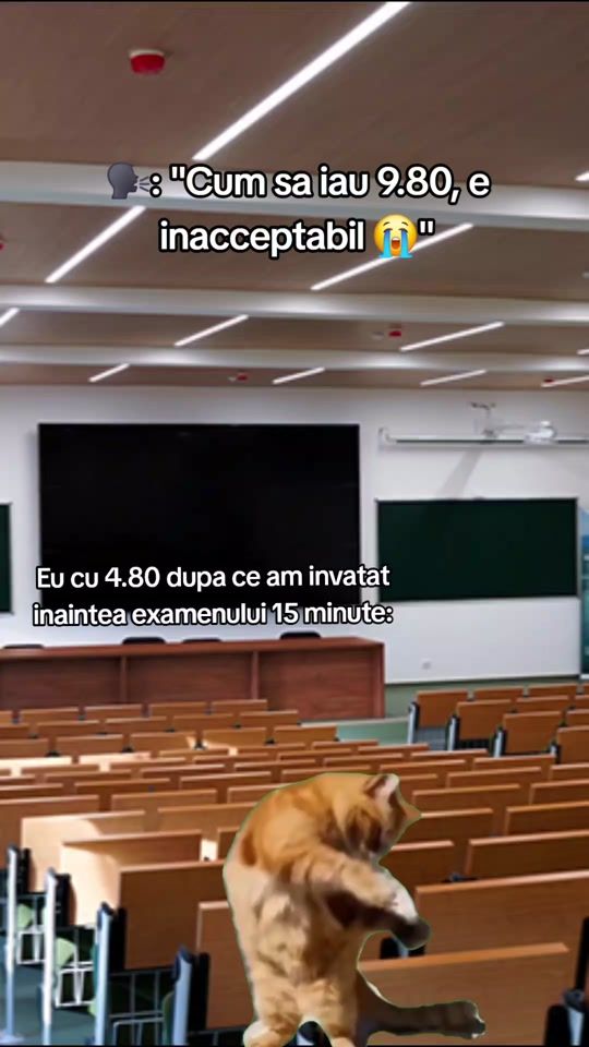 TikTok video thumbnail by shietpost_