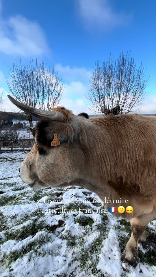 TikTok video thumbnail by dorian_agri48