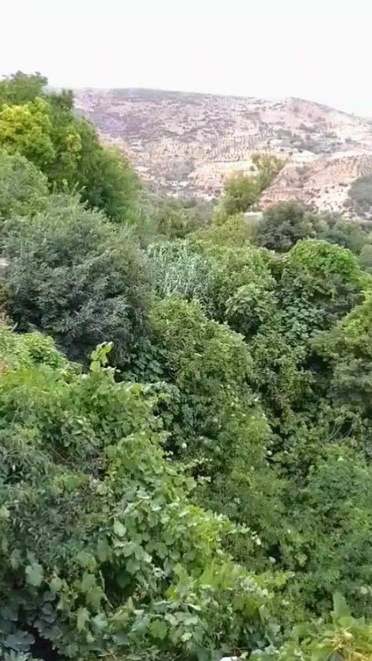 TikTok video thumbnail by youssef23l5