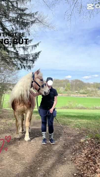 TikTok video thumbnail by luki.mein.bester.freund