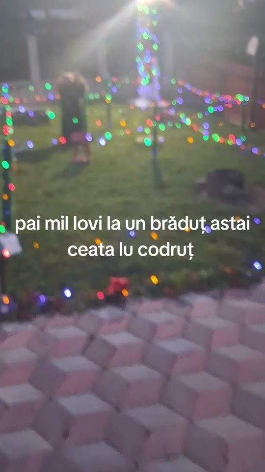 TikTok video thumbnail by florincorban4