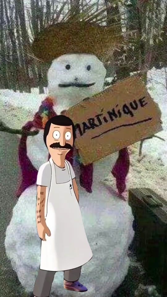 TikTok video thumbnail by senateurcanardo