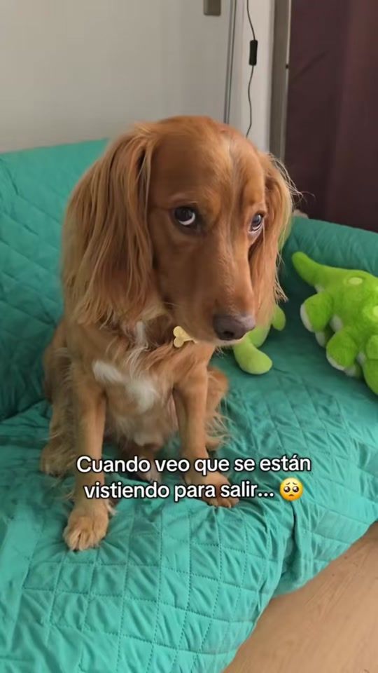 TikTok video thumbnail by martin.j.m