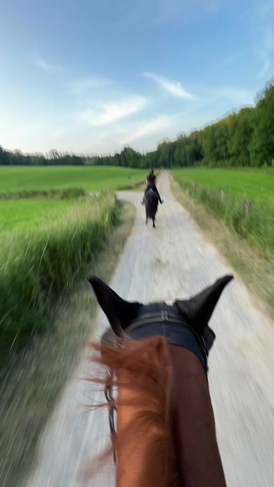 TikTok video thumbnail by hannah_rufer