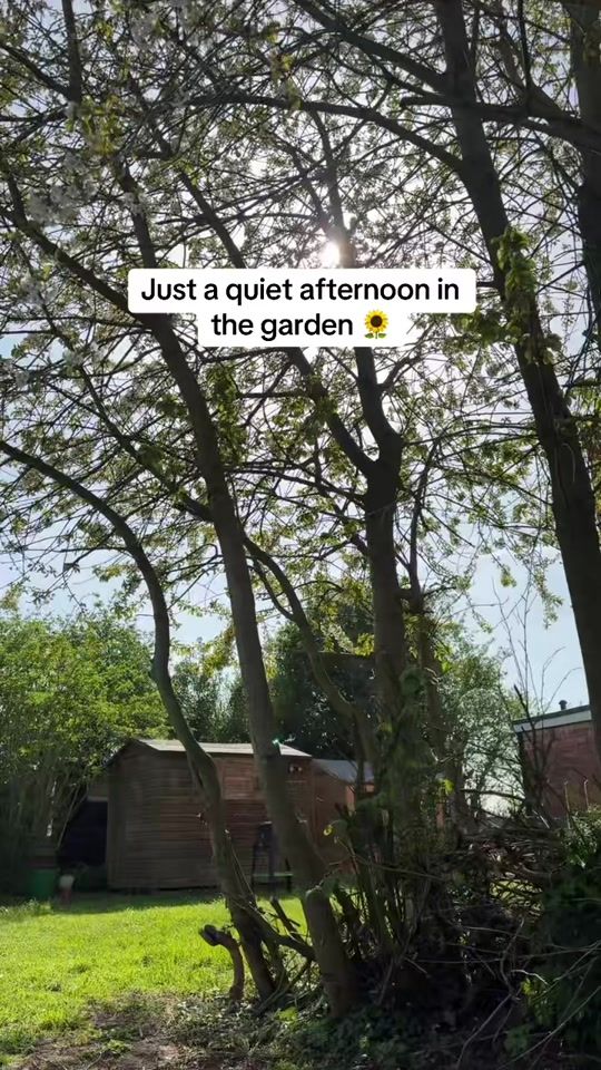 TikTok video thumbnail by mi55marie