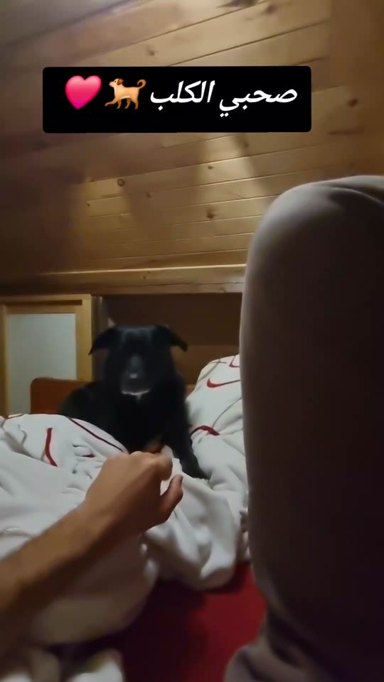 TikTok video thumbnail by scotmoh